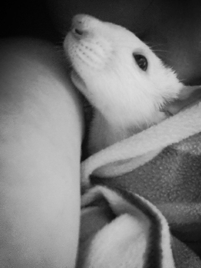 my sweet little angel