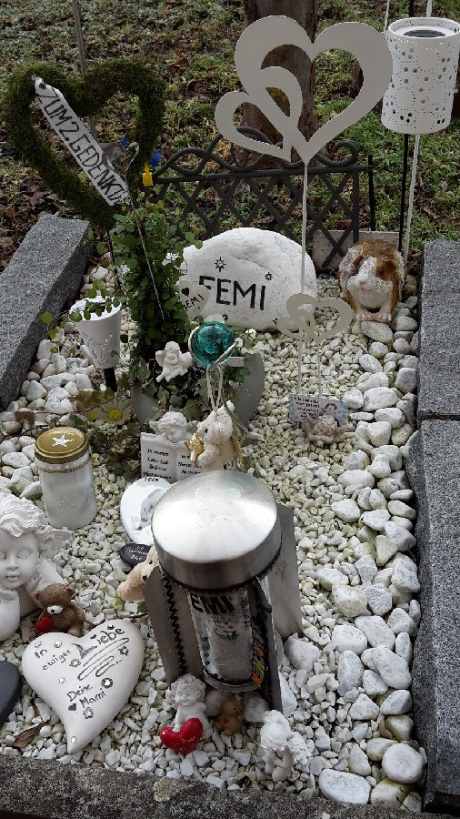 Femi´s Grab