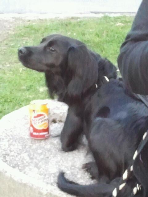 Du Liebe meines Lebens