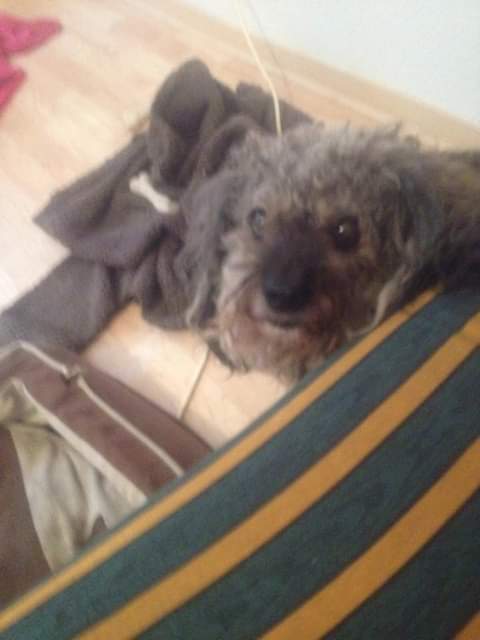 Jacky