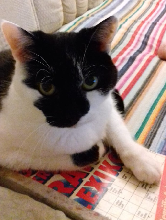 Forever in our hearts!