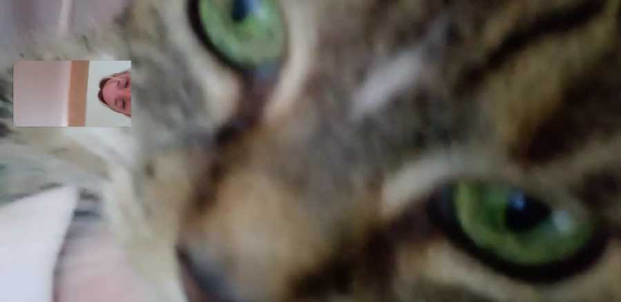 Hewoo??