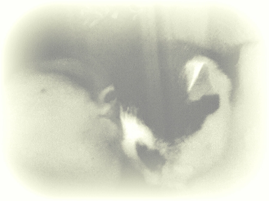 Du und ich ein Leben lang